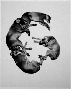 Image description is not available for 2001.065